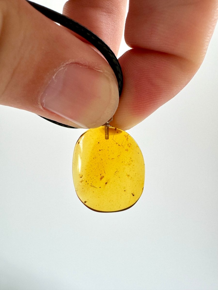 Pendant on necklace with small fly insect (Burmite amber) - FossilsAndMore