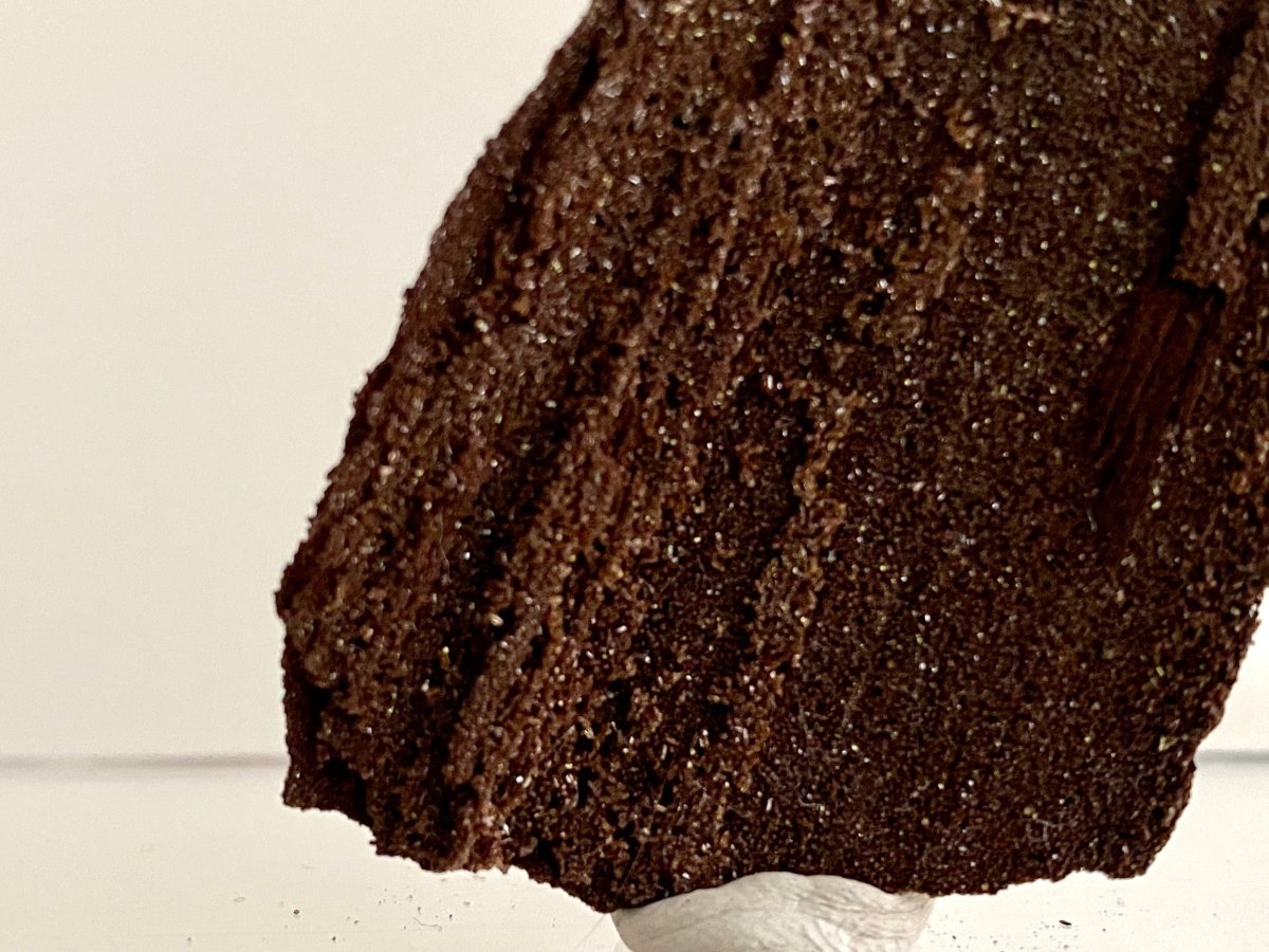 Permineralized Wood Covered In Druzy Quartz (2.08") - Eocene, Germany - FossilsAndMore