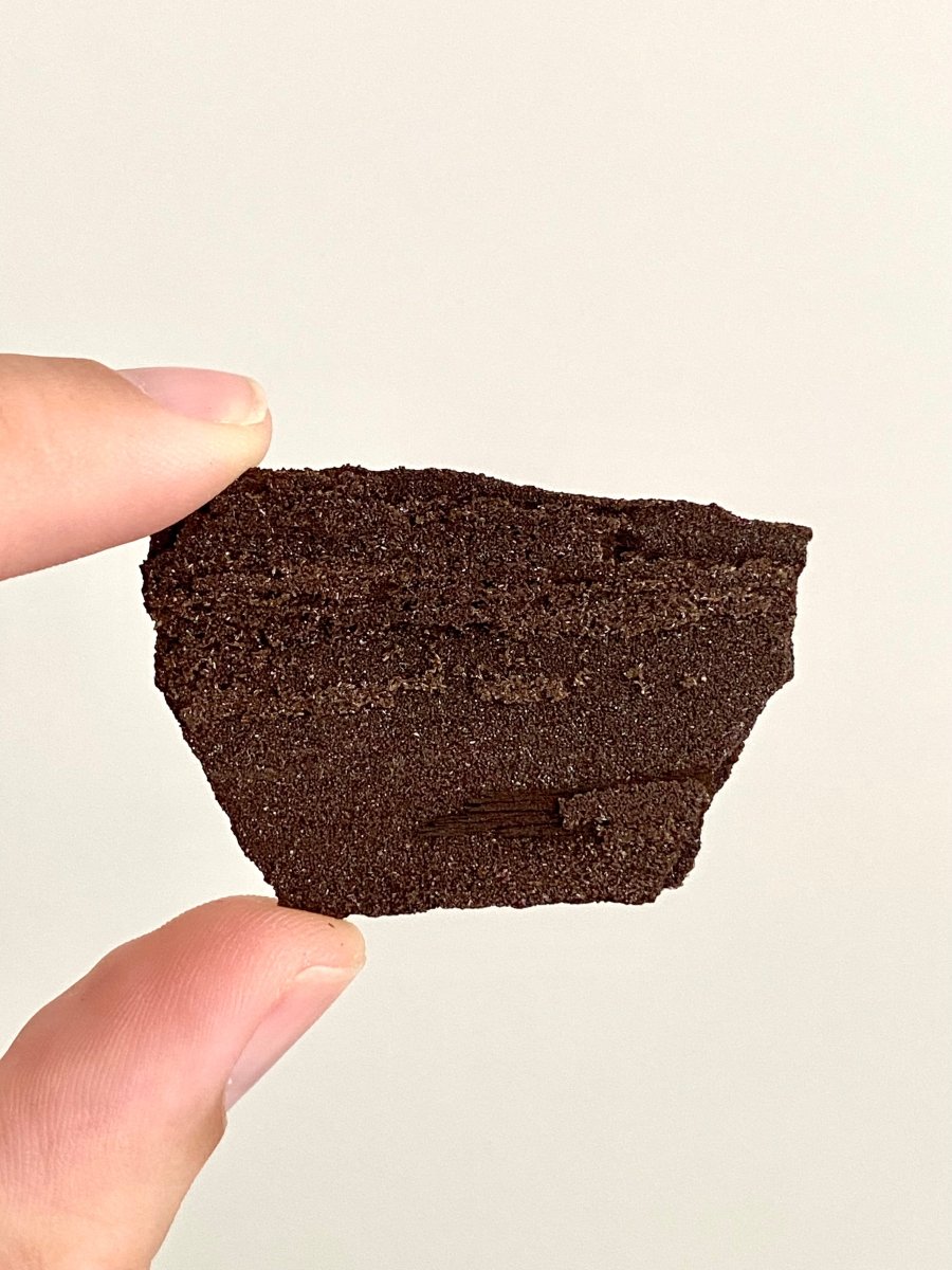 Permineralized Wood Covered In Druzy Quartz (2.08") - Eocene, Germany - FossilsAndMore