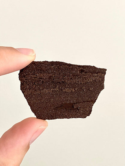 Permineralized Wood Covered In Druzy Quartz (2.08") - Eocene, Germany - FossilsAndMore