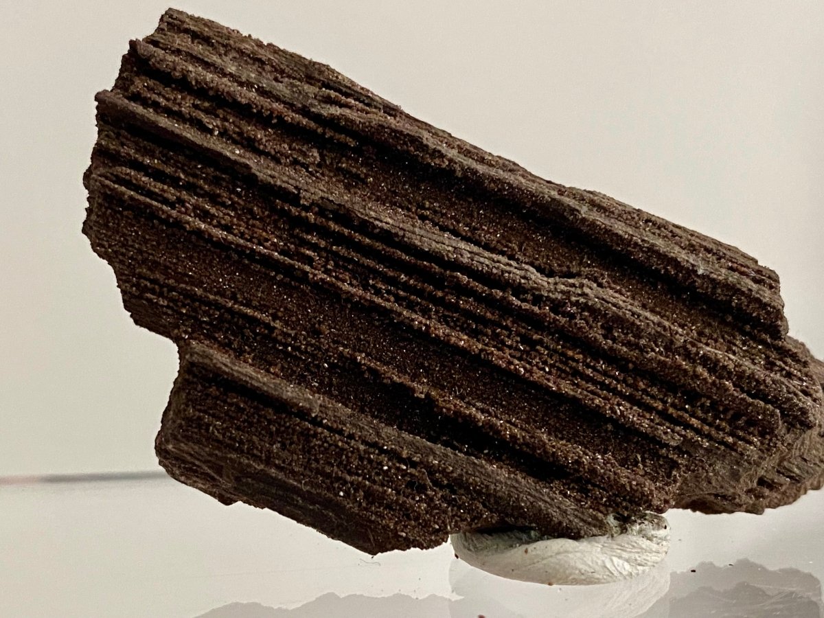 Permineralized Wood Covered In Druzy Quartz (2.53") - Eocene, Germany - FossilsAndMore