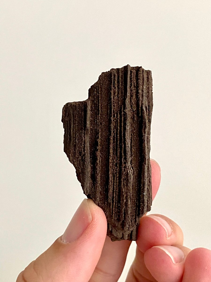 Permineralized Wood Covered In Druzy Quartz (2.53") - Eocene, Germany - FossilsAndMore