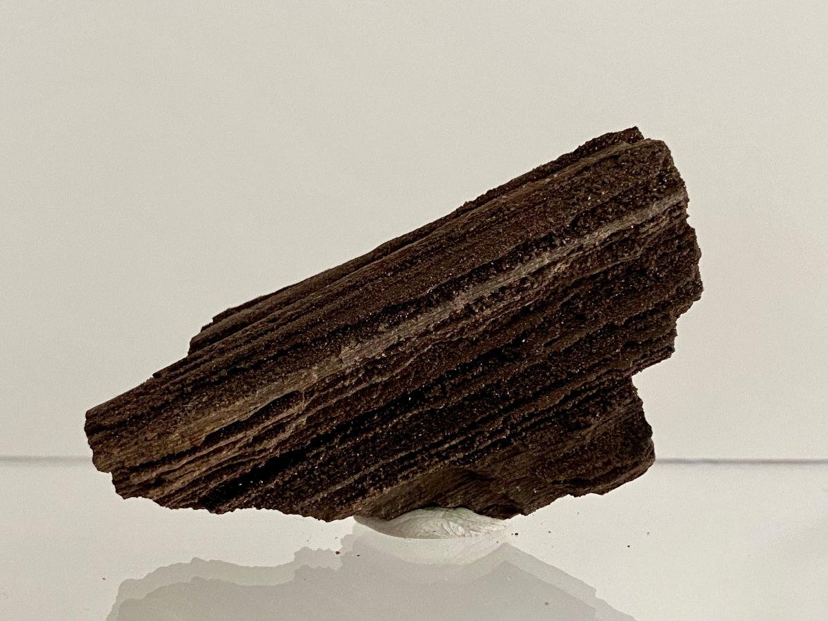 Permineralized Wood Covered In Druzy Quartz (2.53") - Eocene, Germany - FossilsAndMore