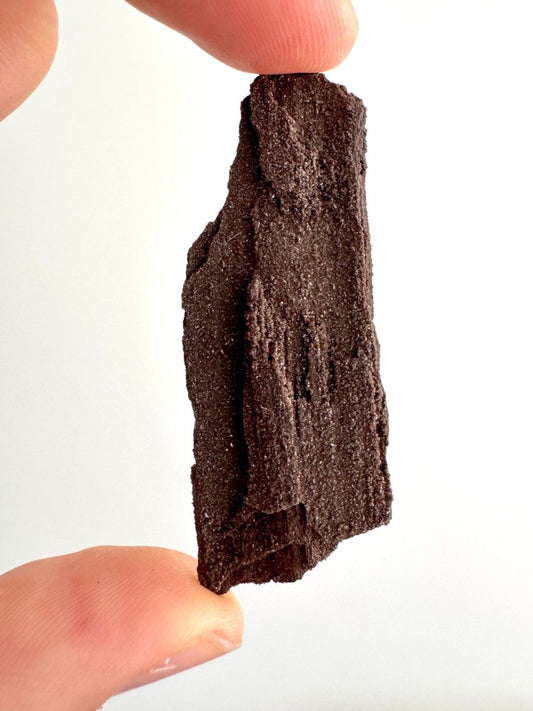 Permineralized Wood Covered In Druzy Quartz (2.67") from Eocene, Germany - FossilsAndMore