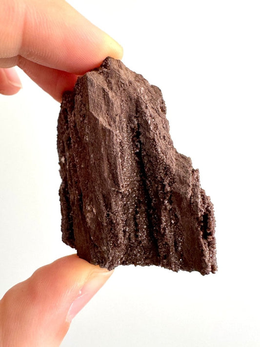 Permineralized Wood Covered In Druzy Quartz (2.72") from Eocene, Germany - FossilsAndMore