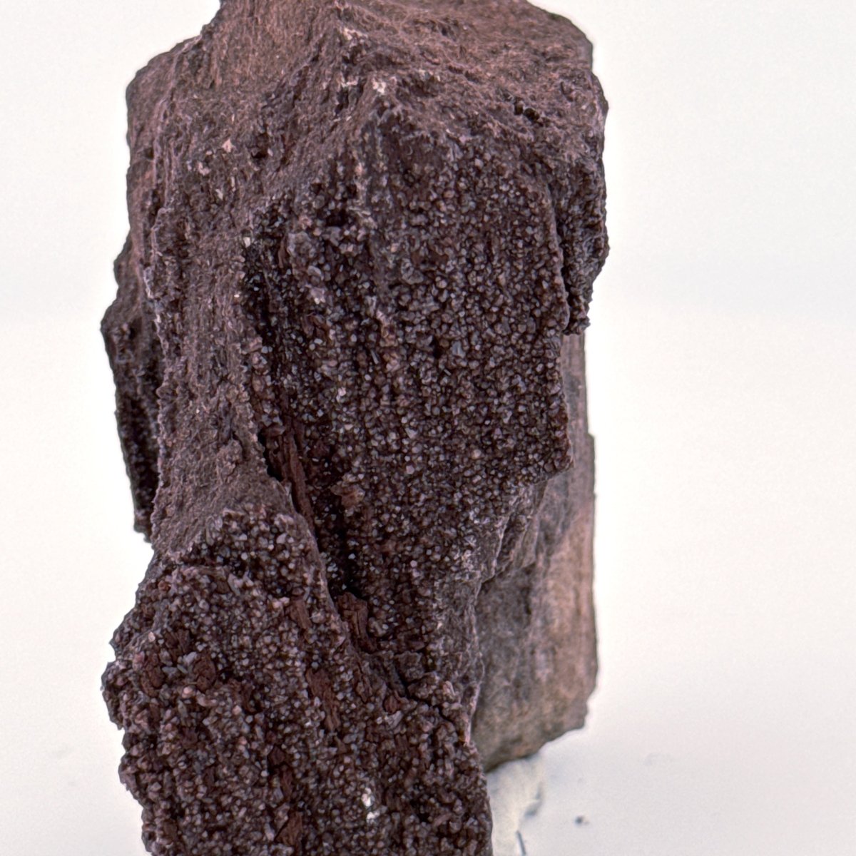 Permineralized Wood Covered In Druzy Quartz (2.72") from Eocene, Germany - FossilsAndMore