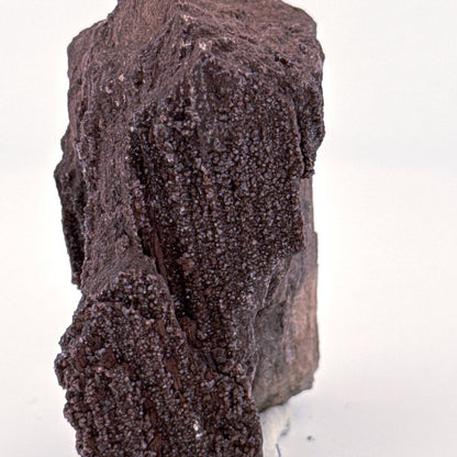 Permineralized Wood Covered In Druzy Quartz (2.72") from Eocene, Germany - FossilsAndMore