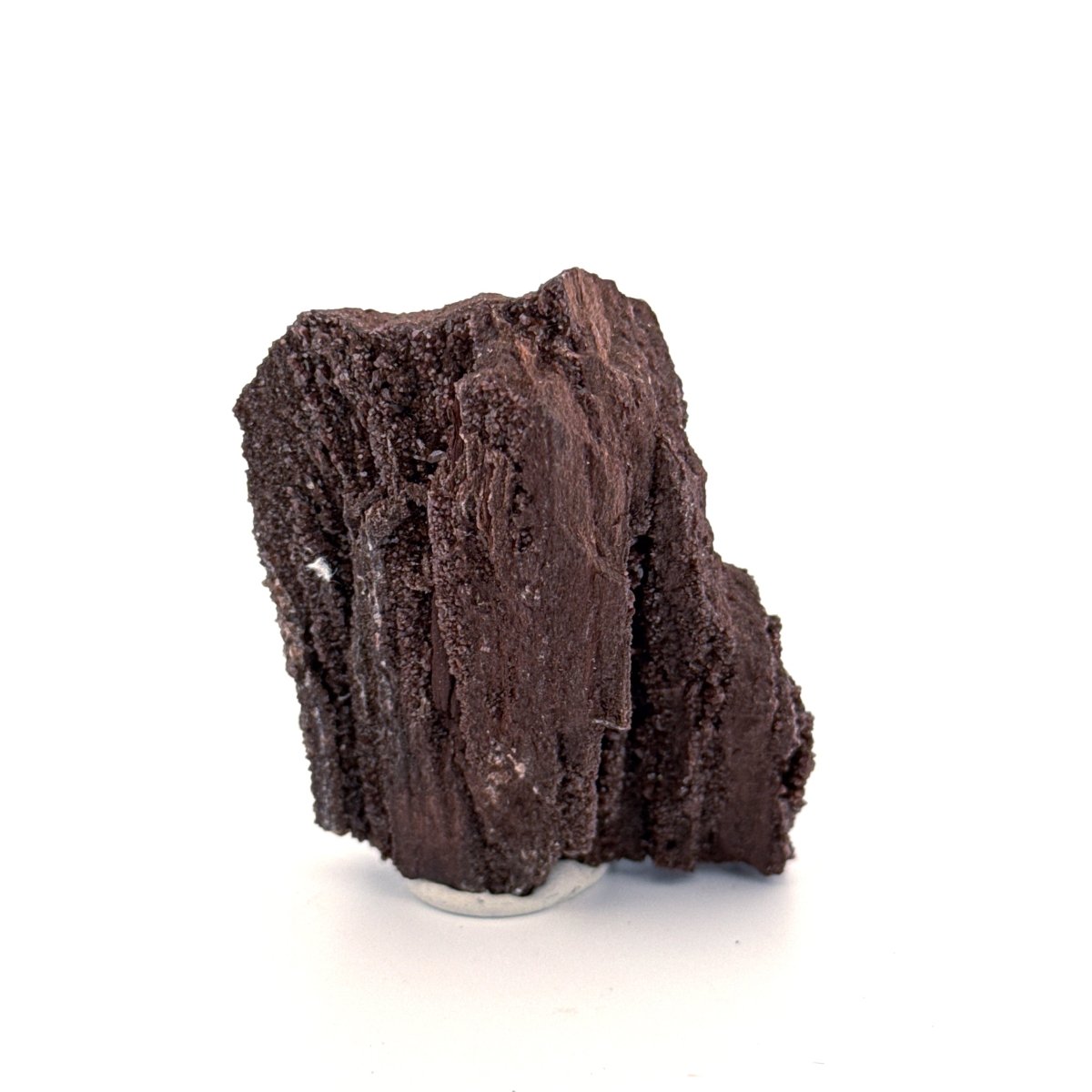Permineralized Wood Covered In Druzy Quartz (2.72") from Eocene, Germany - FossilsAndMore