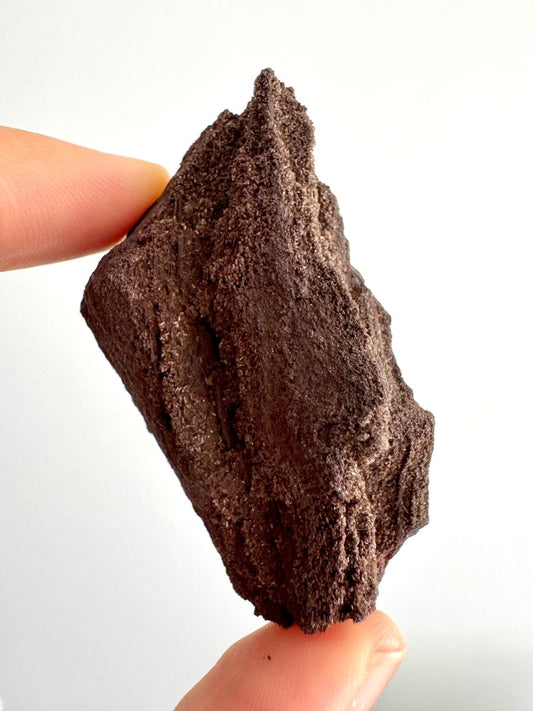 Permineralized Wood Covered In Druzy Quartz (2.82") from Eocene, Germany - FossilsAndMore