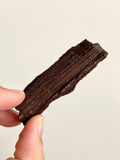 Permineralized Wood Covered In Druzy Quartz (3.12") - Eocene, Germany - FossilsAndMore