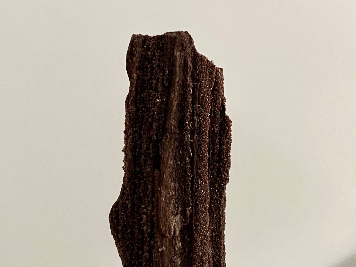 Permineralized Wood Covered In Druzy Quartz (3.12") - Eocene, Germany - FossilsAndMore