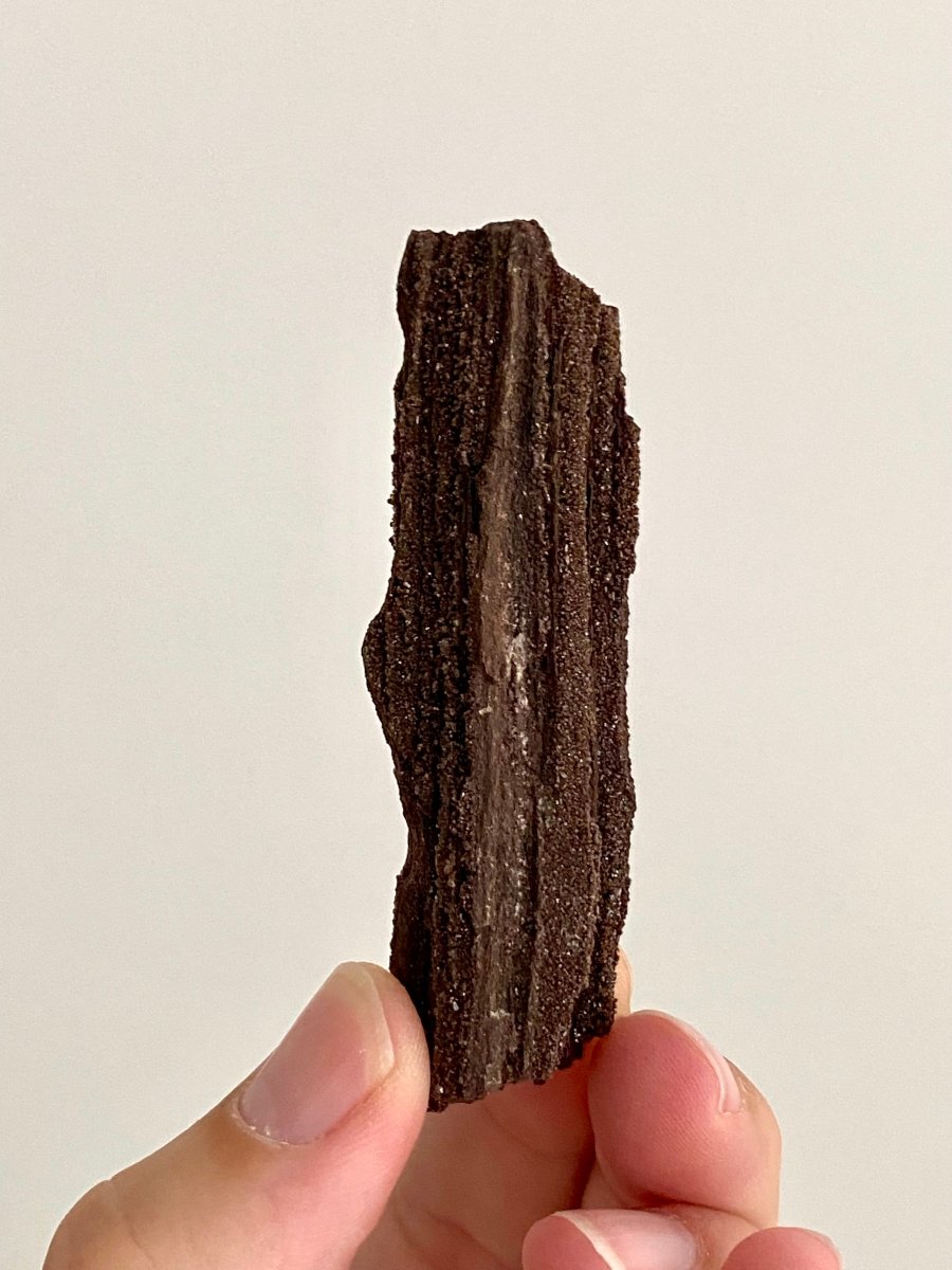 Permineralized Wood Covered In Druzy Quartz (3.12") - Eocene, Germany - FossilsAndMore