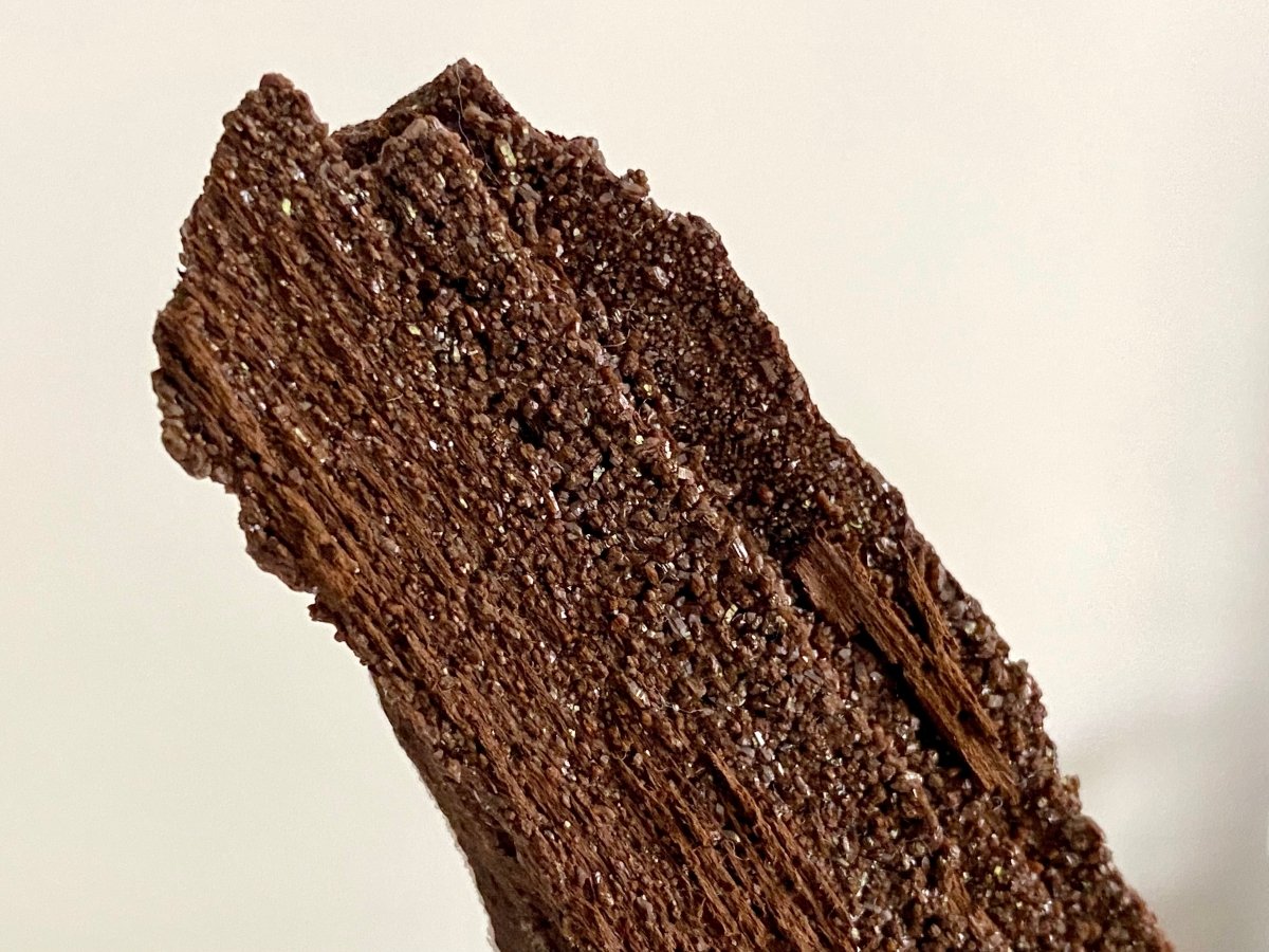 Permineralized Wood Covered In Druzy Quartz (3.25") - Eocene, Germany - FossilsAndMore