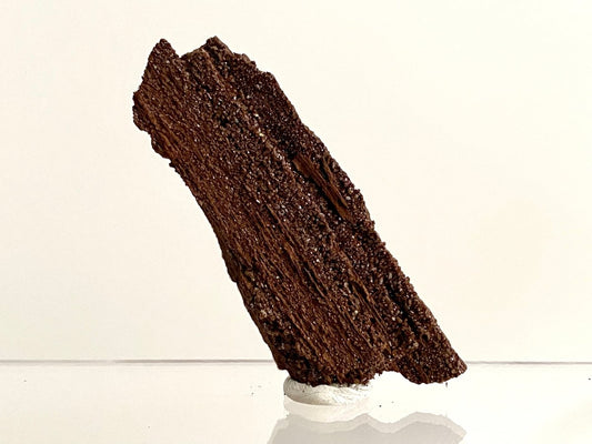 Permineralized Wood Covered In Druzy Quartz (3.25") - Eocene, Germany - FossilsAndMore