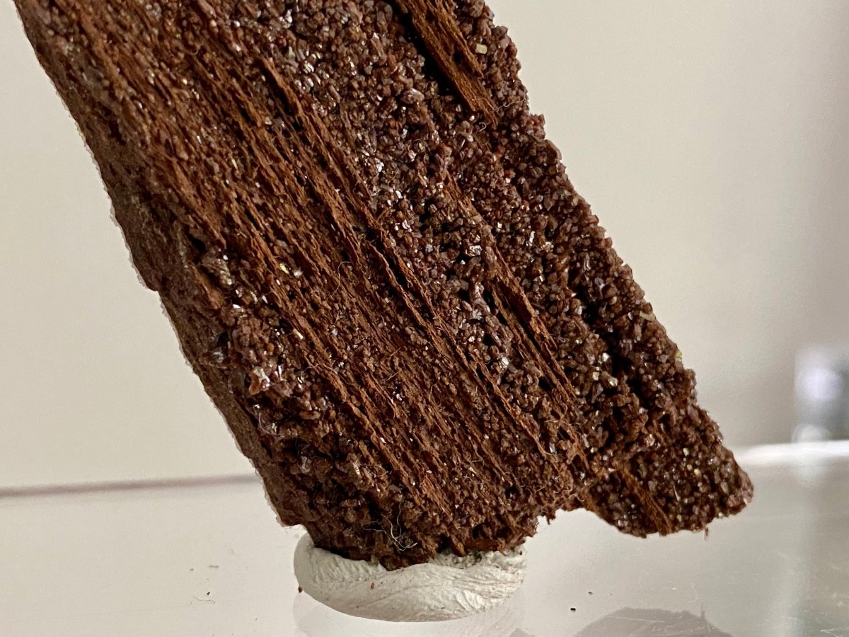 Permineralized Wood Covered In Druzy Quartz (3.25") - Eocene, Germany - FossilsAndMore