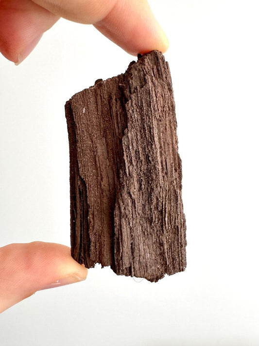 Permineralized Wood Covered In Druzy Quartz (3.29") from Eocene, Germany - FossilsAndMore