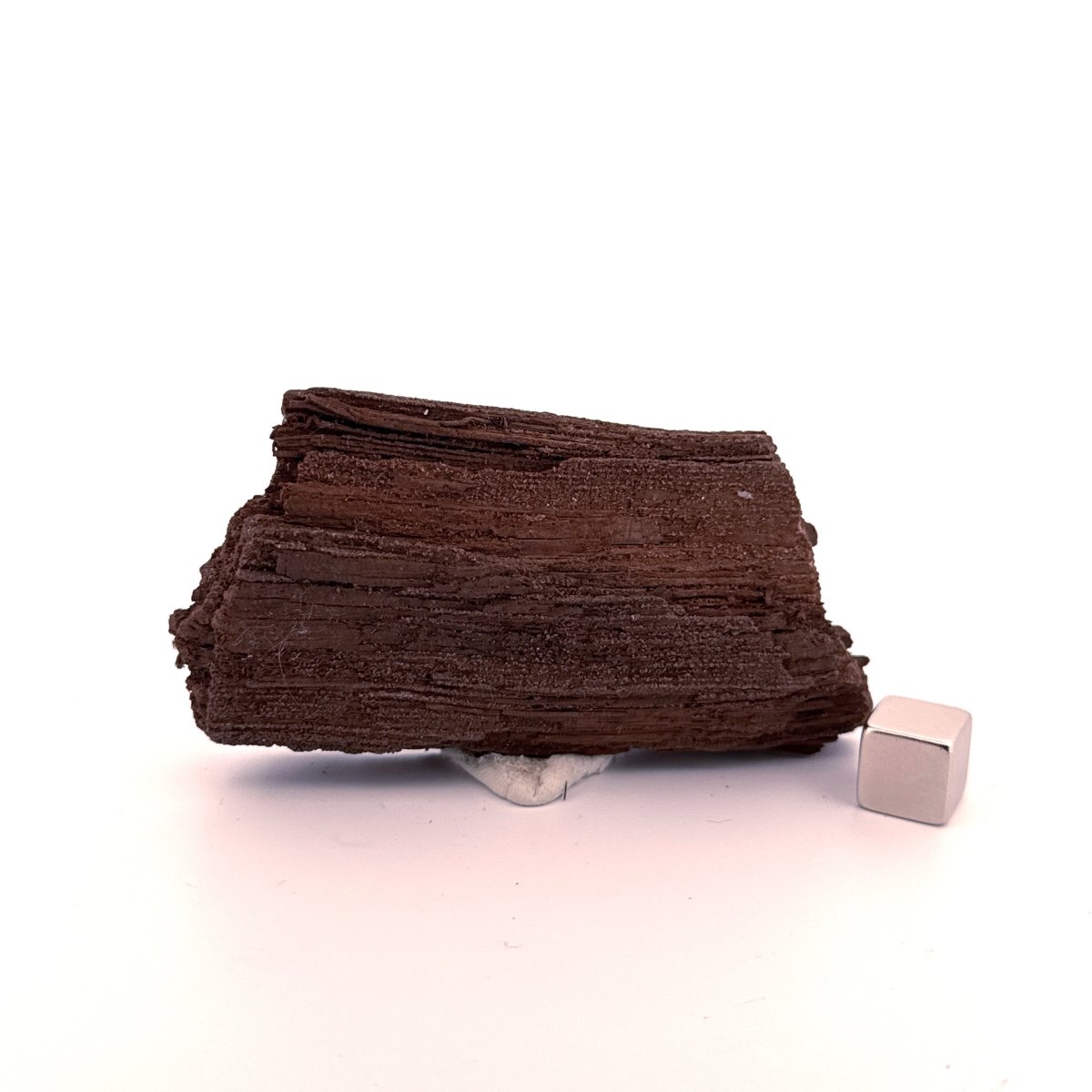 Permineralized Wood Covered In Druzy Quartz (3.29") from Eocene, Germany - FossilsAndMore