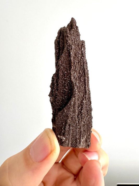Permineralized Wood Covered In Druzy Quartz (3.30") from Eocene, Germany - FossilsAndMore