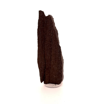 Permineralized Wood Covered In Druzy Quartz (3.39") from Eocene, Germany - FossilsAndMore