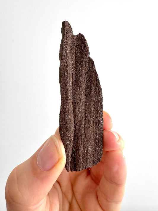 Permineralized Wood Covered In Druzy Quartz (3.39") from Eocene, Germany - FossilsAndMore