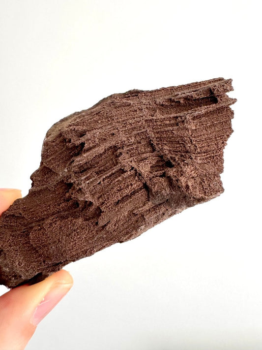 Permineralized Wood Covered In Druzy Quartz (4.43") from Eocene, Germany - FossilsAndMore