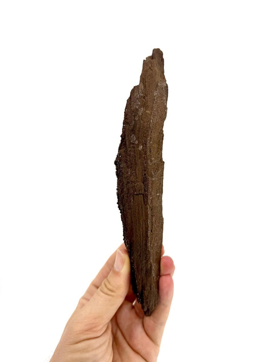 Permineralized Wood Covered In Druzy Quartz from Germany (210 Grams) - FossilsAndMore