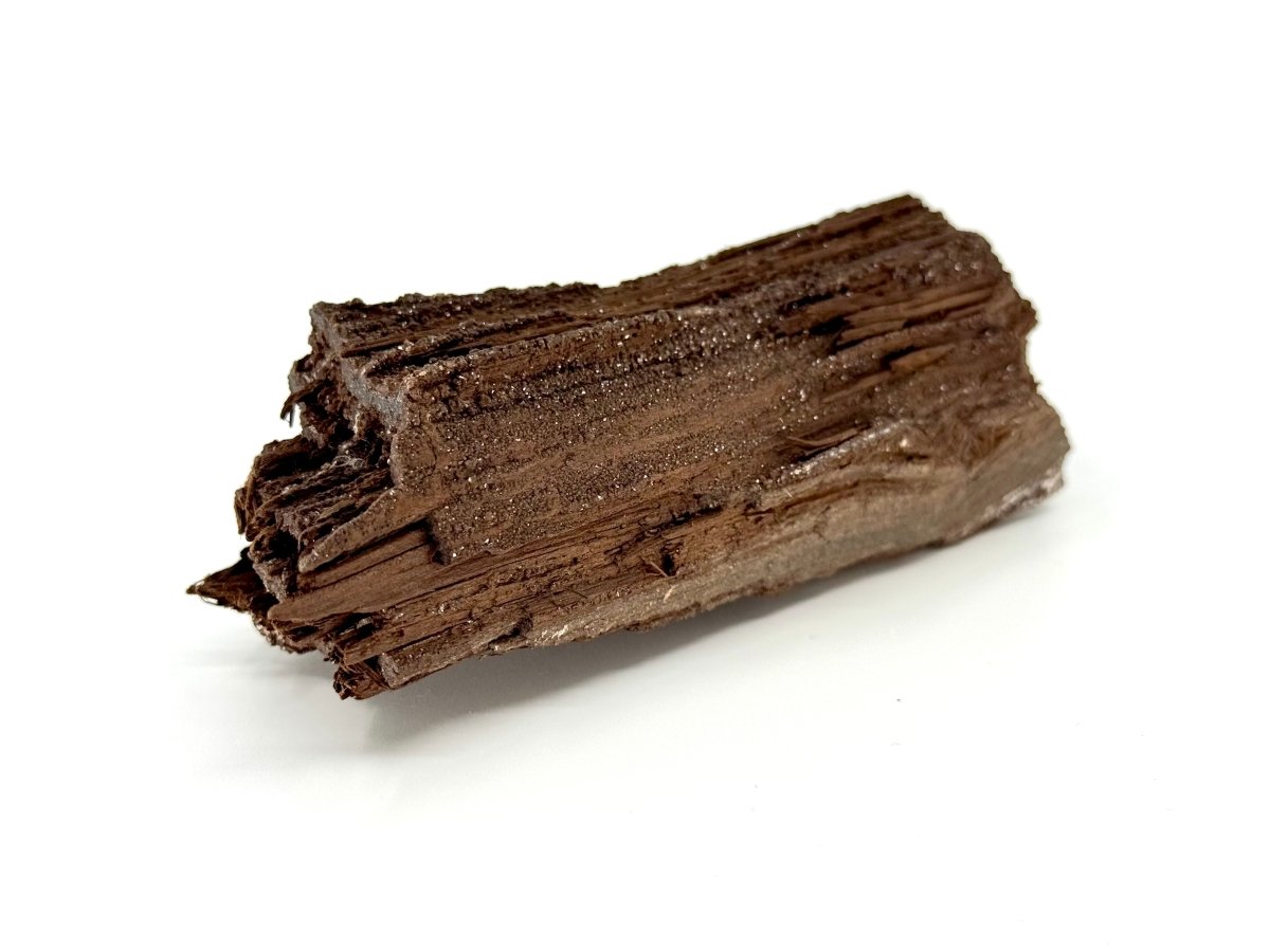 Permineralized Wood Covered In Druzy Quartz from Germany (246 Grams) - FossilsAndMore