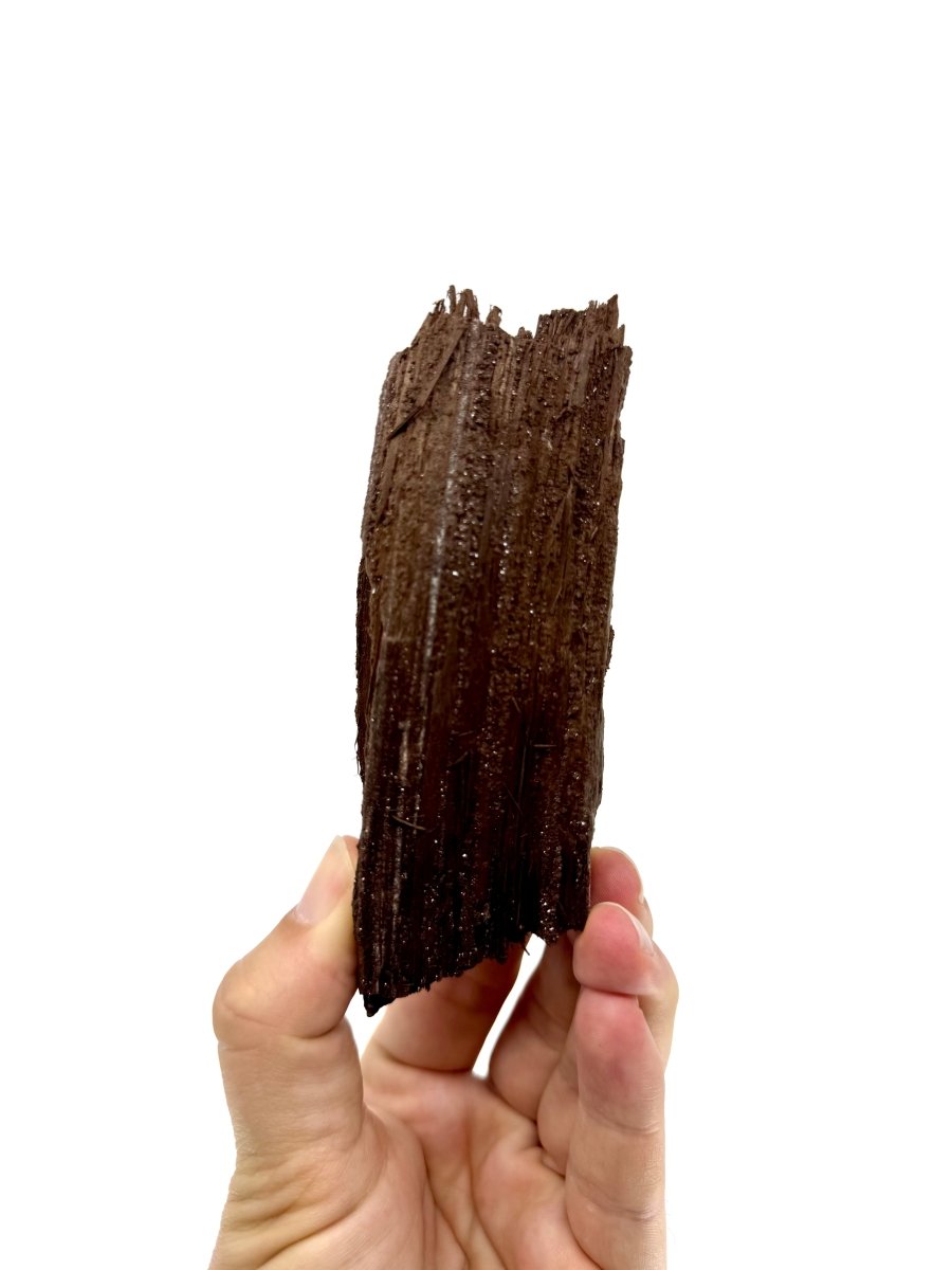Permineralized Wood Covered In Druzy Quartz from Germany (246 Grams) - FossilsAndMore