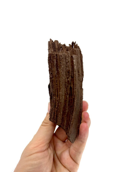 Permineralized Wood Covered In Druzy Quartz from Germany (246 Grams) - FossilsAndMore