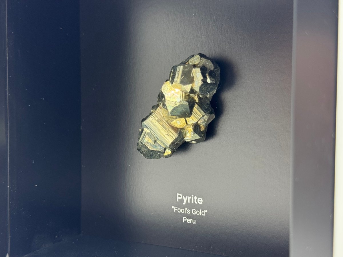 Peruvian Pyrite cluster in Deep Box Frame - FossilsAndMore