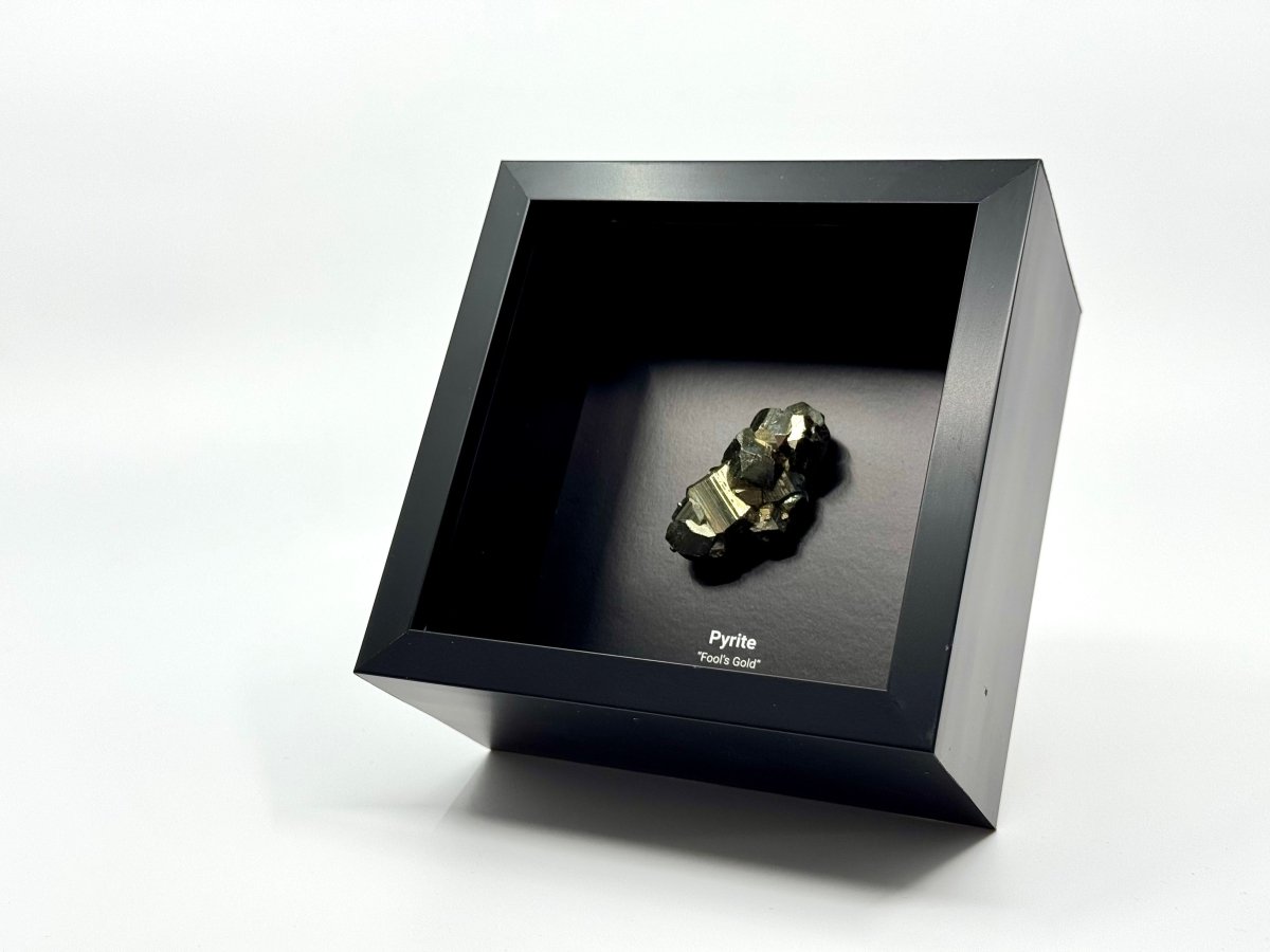 Pyrite crystal in a black display box on a white background