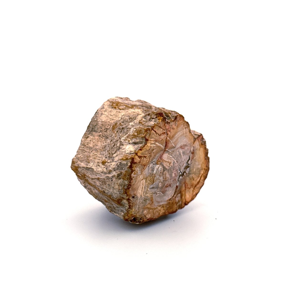 Petrified wood (1.31") from Madagascar - FossilsAndMore