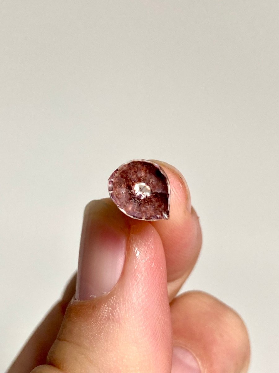 Phytosaur fossils tooth, Redondasaurus (0.72") - Late Triassic, USA - FossilsAndMore