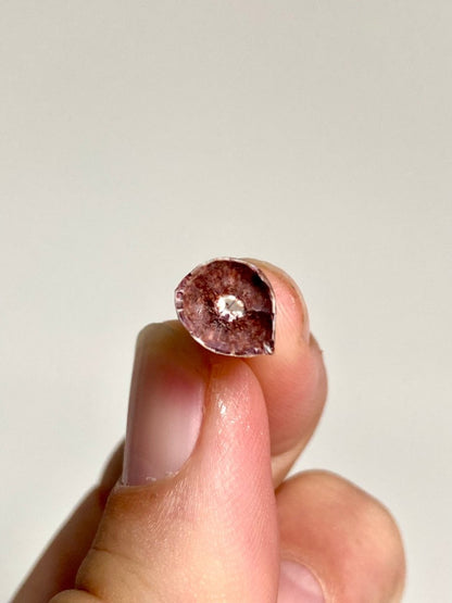 Phytosaur fossils tooth, Redondasaurus (0.72") - Late Triassic, USA - FossilsAndMore