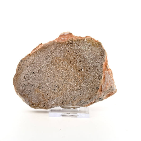 Polished Jurassic Sauropod Dinosaur Bone | 143 Grams - FossilsAndMore