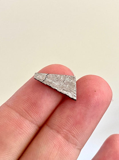 Polished Muonionalusta IVA meteorite fragment (0.74") - Sweden - FossilsAndMore