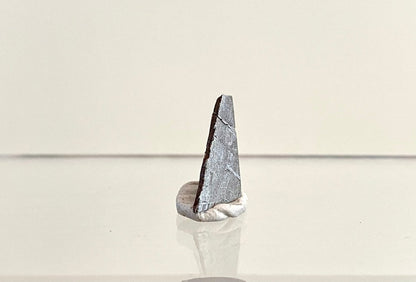 Polished Muonionalusta IVA meteorite fragment (0.74") - Sweden - FossilsAndMore