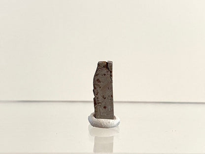 Polished Muonionalusta IVA meteorite fragment (0.75") - Sweden - FossilsAndMore