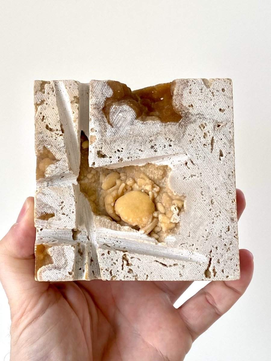 Potamon crab fossil species in travertine marble - FossilsAndMore