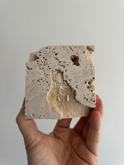 Potamon Fossil Crab on Travertine Matrix (1.25") from Pleistocene period, Turkey - FossilsAndMore