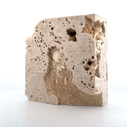 Potamon Fossil Crab on Travertine Matrix (1.25") from Pleistocene period, Turkey - FossilsAndMore