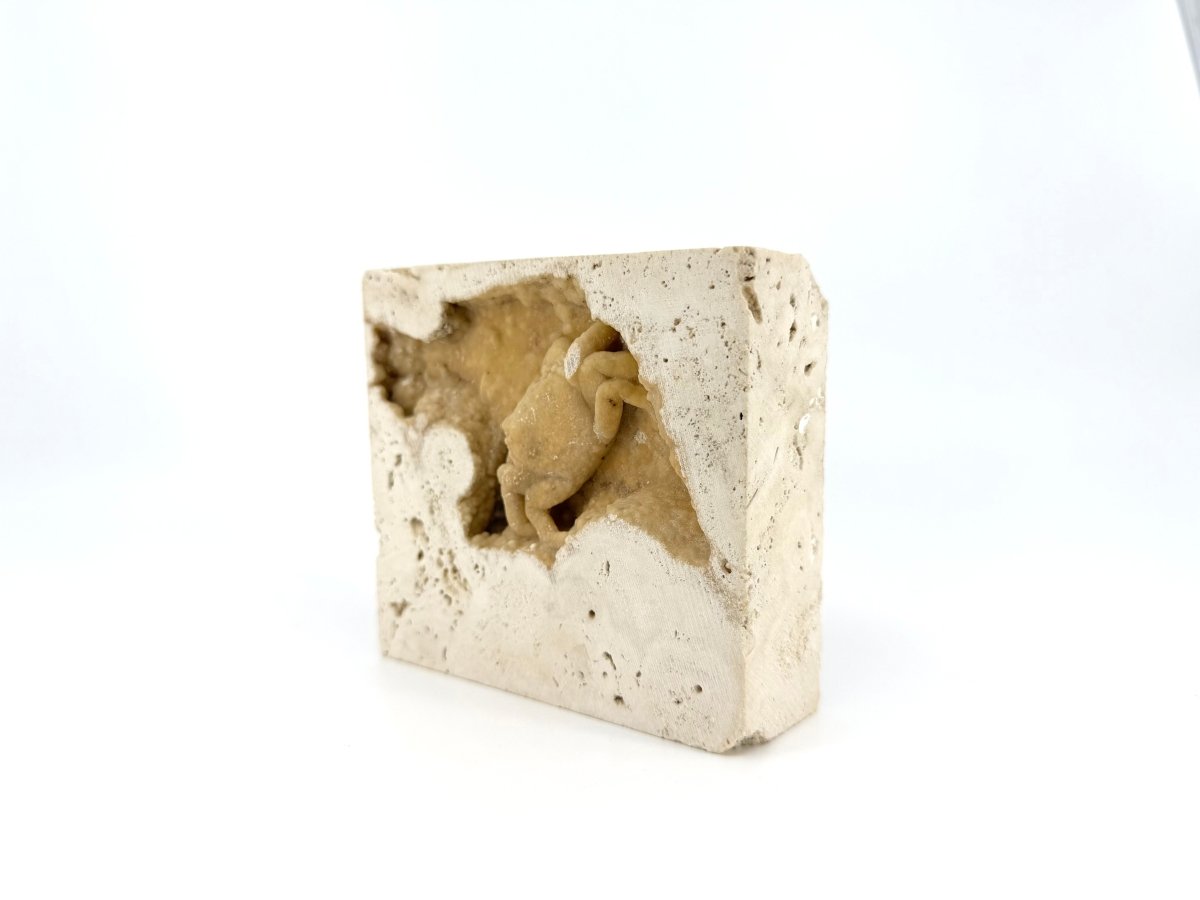 Potamon Fossil Crab on Travertine Matrix (2.16") – Pleistocene period, Turkey - FossilsAndMore