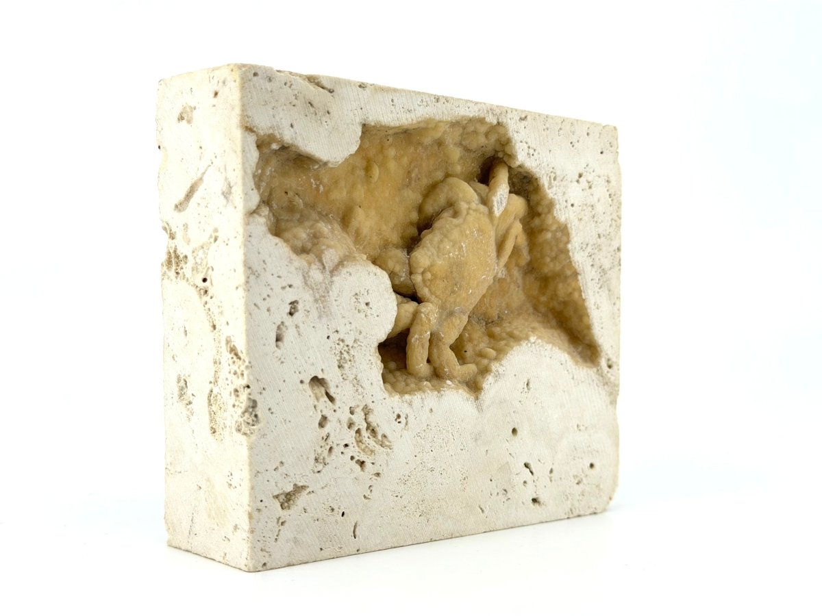 Potamon Fossil Crab on Travertine Matrix (2.16") – Pleistocene period, Turkey - FossilsAndMore