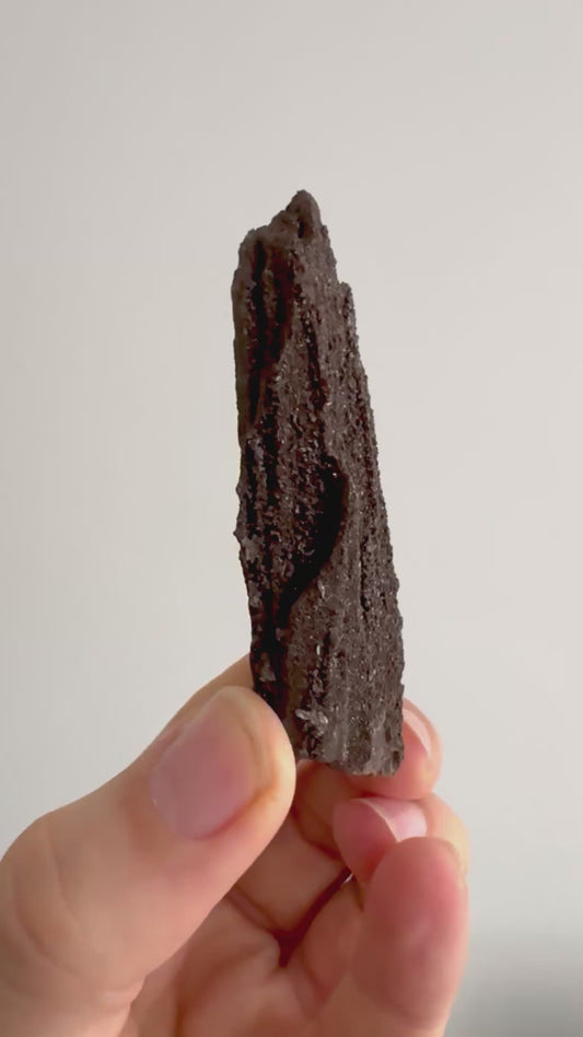 Permineralized Wood Covered In Druzy Quartz (3.30") from Eocene, Germany