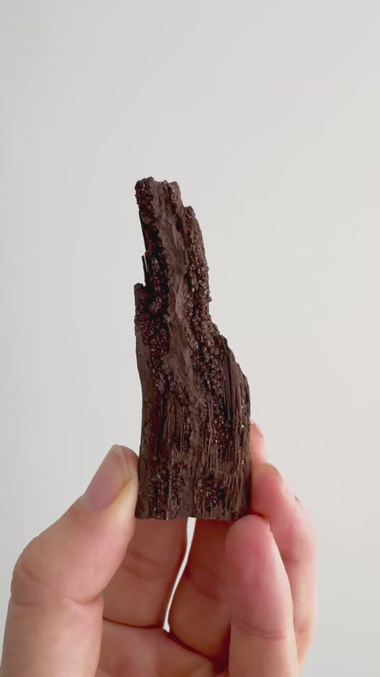 Permineralized Wood Covered In Druzy Quartz (3.42") from Eocene, Germany