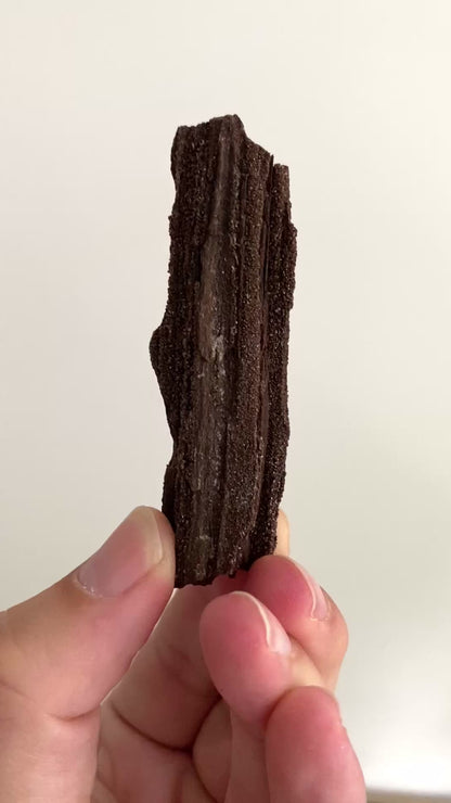 Permineralized Wood Covered In Druzy Quartz (3.12") - Eocene, Germany