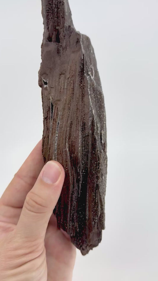Groot stuk gepermineraliseerd hout bedekt met druzykwarts uit het Eoceen, Duitsland (759 Gram)