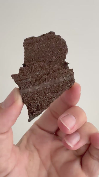 Permineralized Wood Covered In Druzy Quartz (2.83") - Eocene, Germany