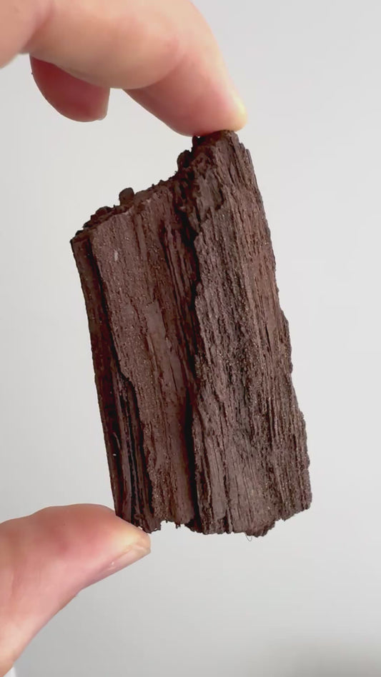 Permineralized Wood Covered In Druzy Quartz (3.29") from Eocene, Germany