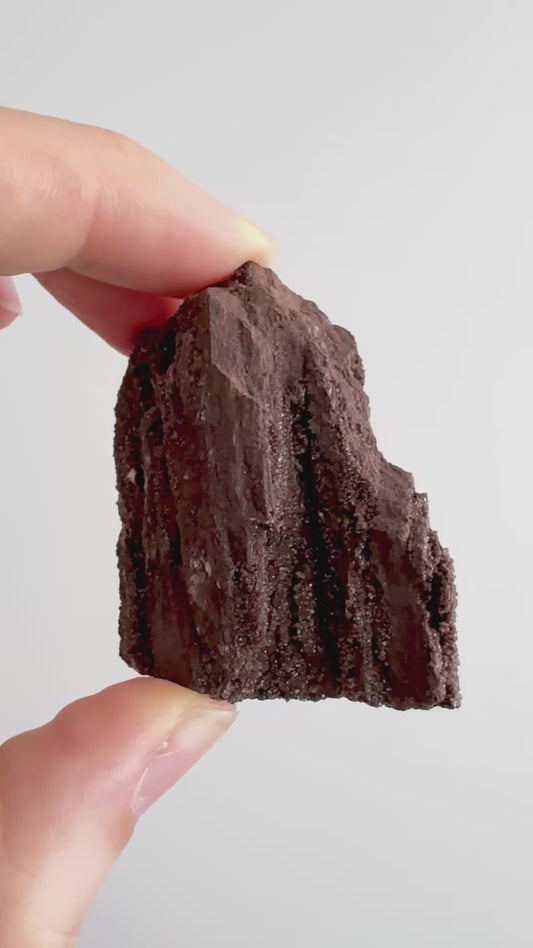 Permineralized Wood Covered In Druzy Quartz (2.72") from Eocene, Germany